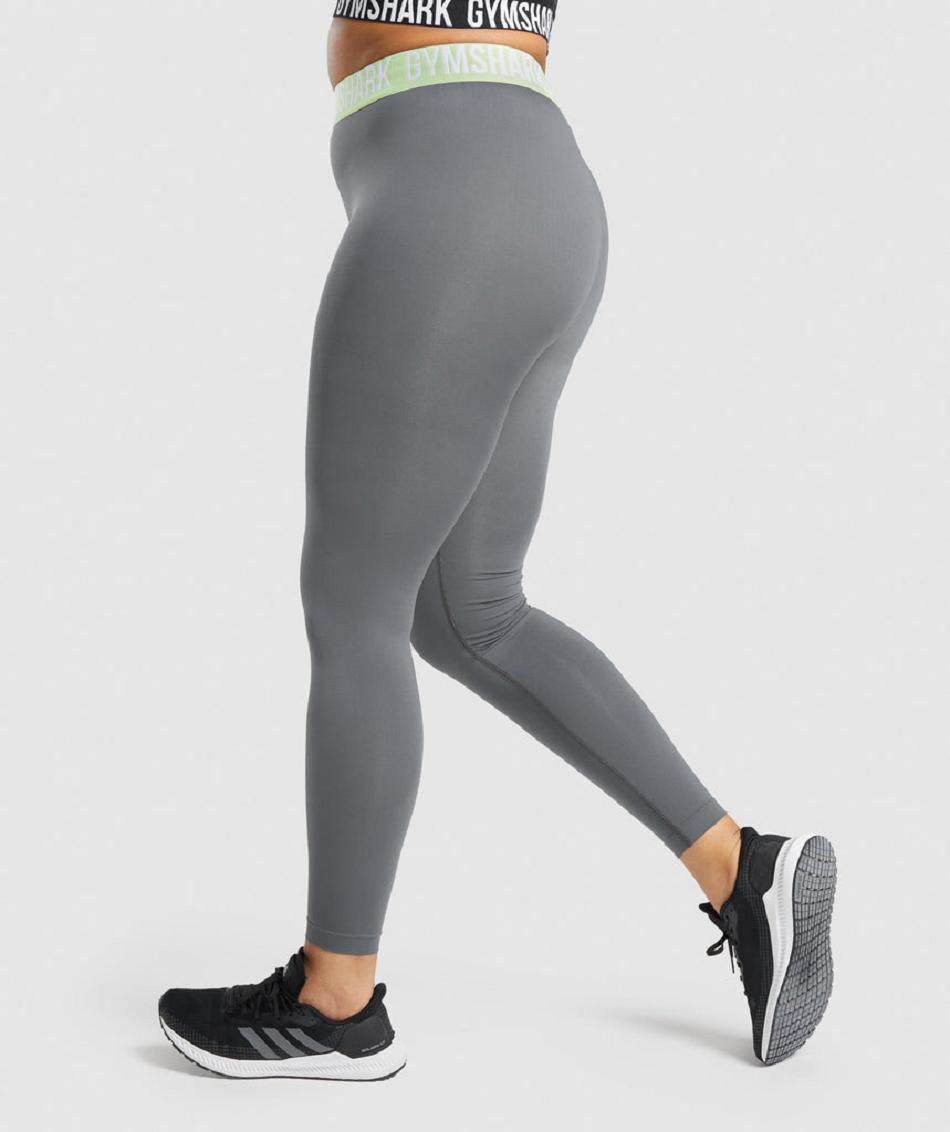 Gymshark Fit Seamless Ženske Tajice Sive | HR 3977SGL